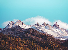 中国足协公开选聘国家男子足球队主教练，目标完成2030年世界杯参赛任务